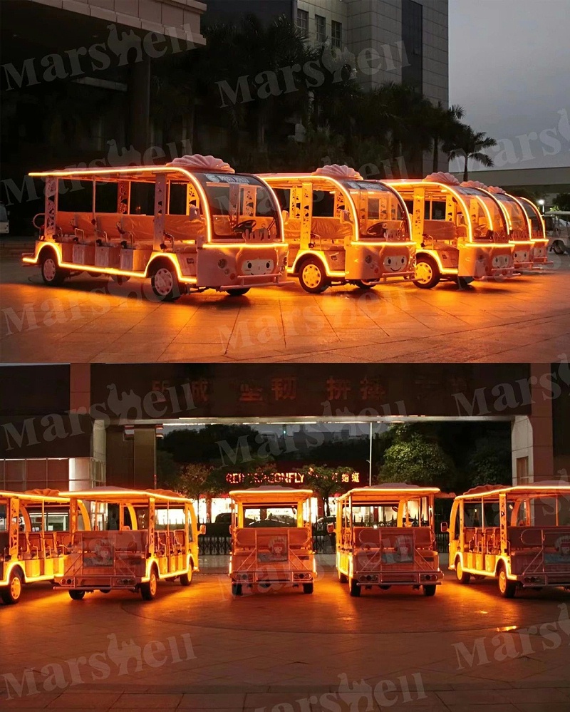 電動(dòng)觀光車(chē)