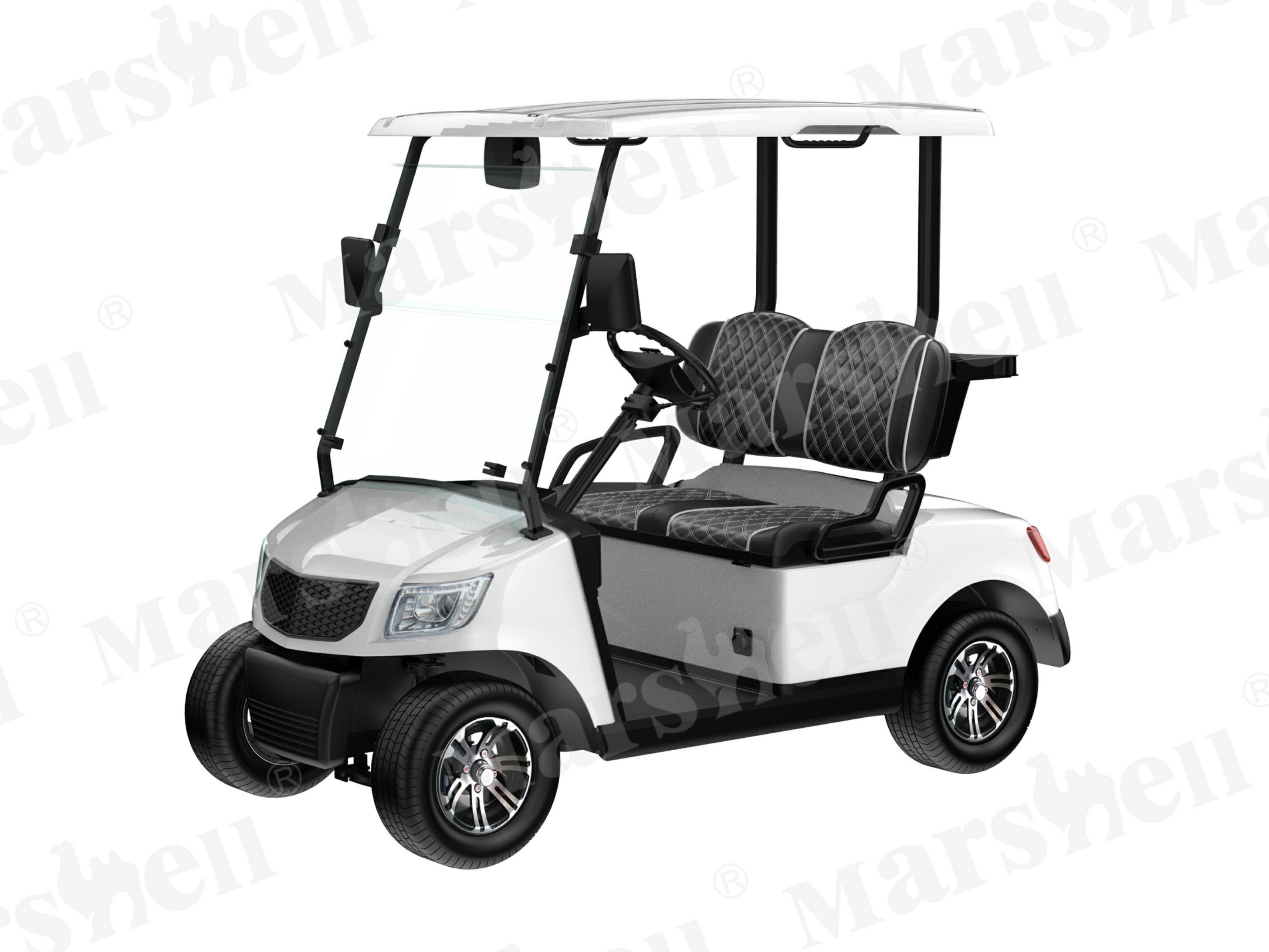 兩座電動高爾夫球車