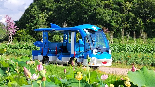 讓瑪西爾“海豚”觀光車帶您游山玩水吧！